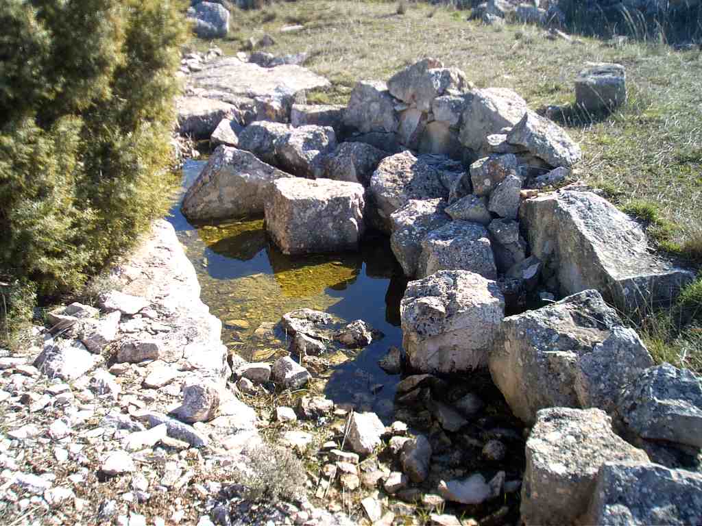 Charca Cerro la Cueva