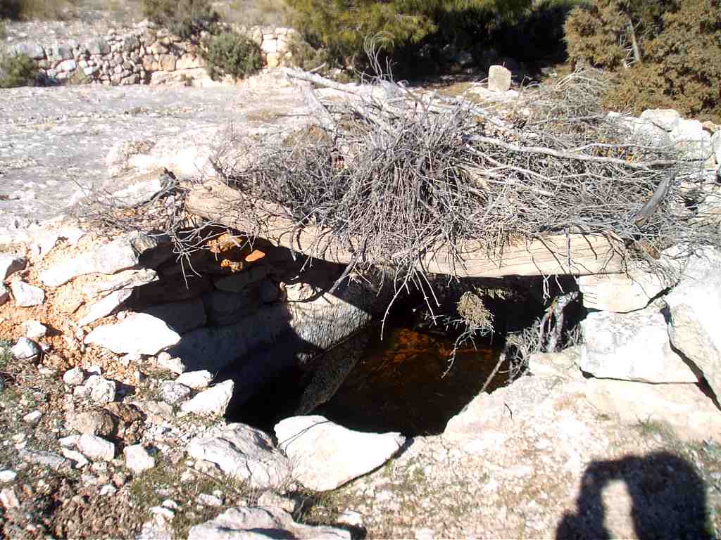 Charca Cerro la Cueva