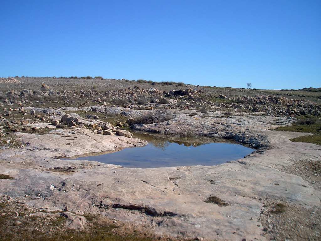 Charco Tío Moyano