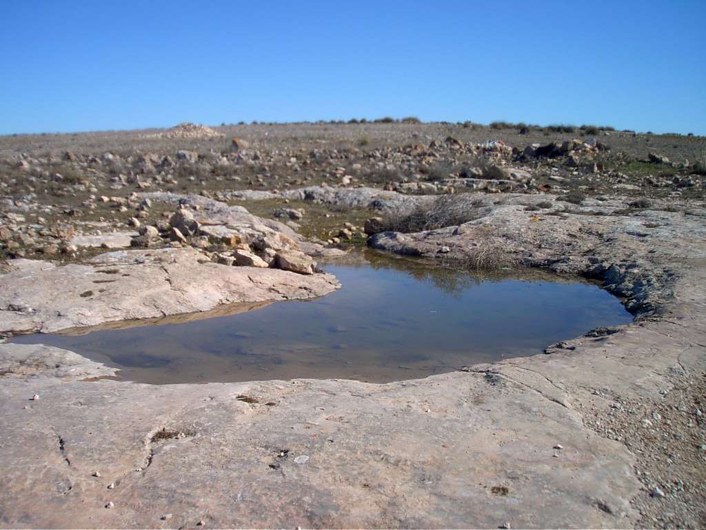 Charco Tío Moyano